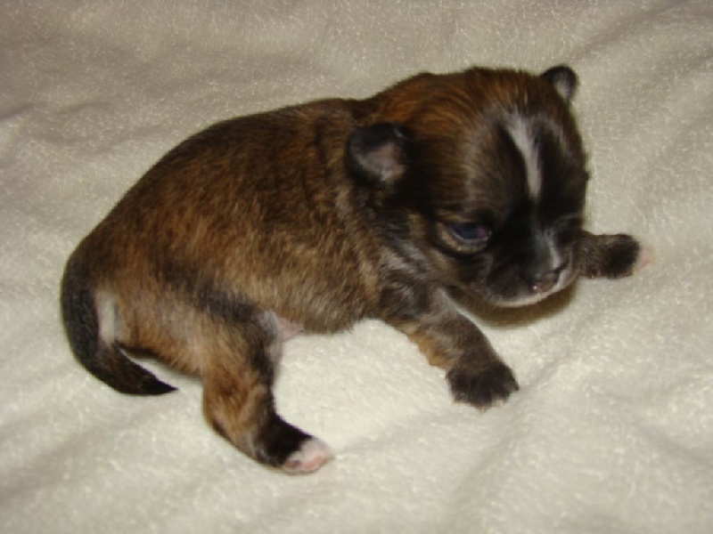 bébés de hély née le 21.05.2015